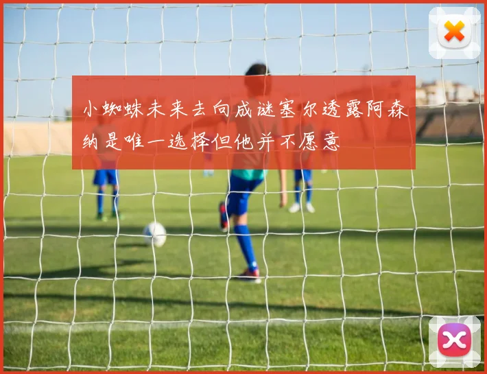 小蜘蛛未来去向成谜塞尔透露阿森纳是唯一选择但他并不愿意